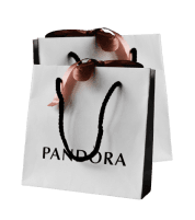 bolsa feminina